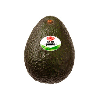 Aguacate Troops "Gordo" (En su Punto)
