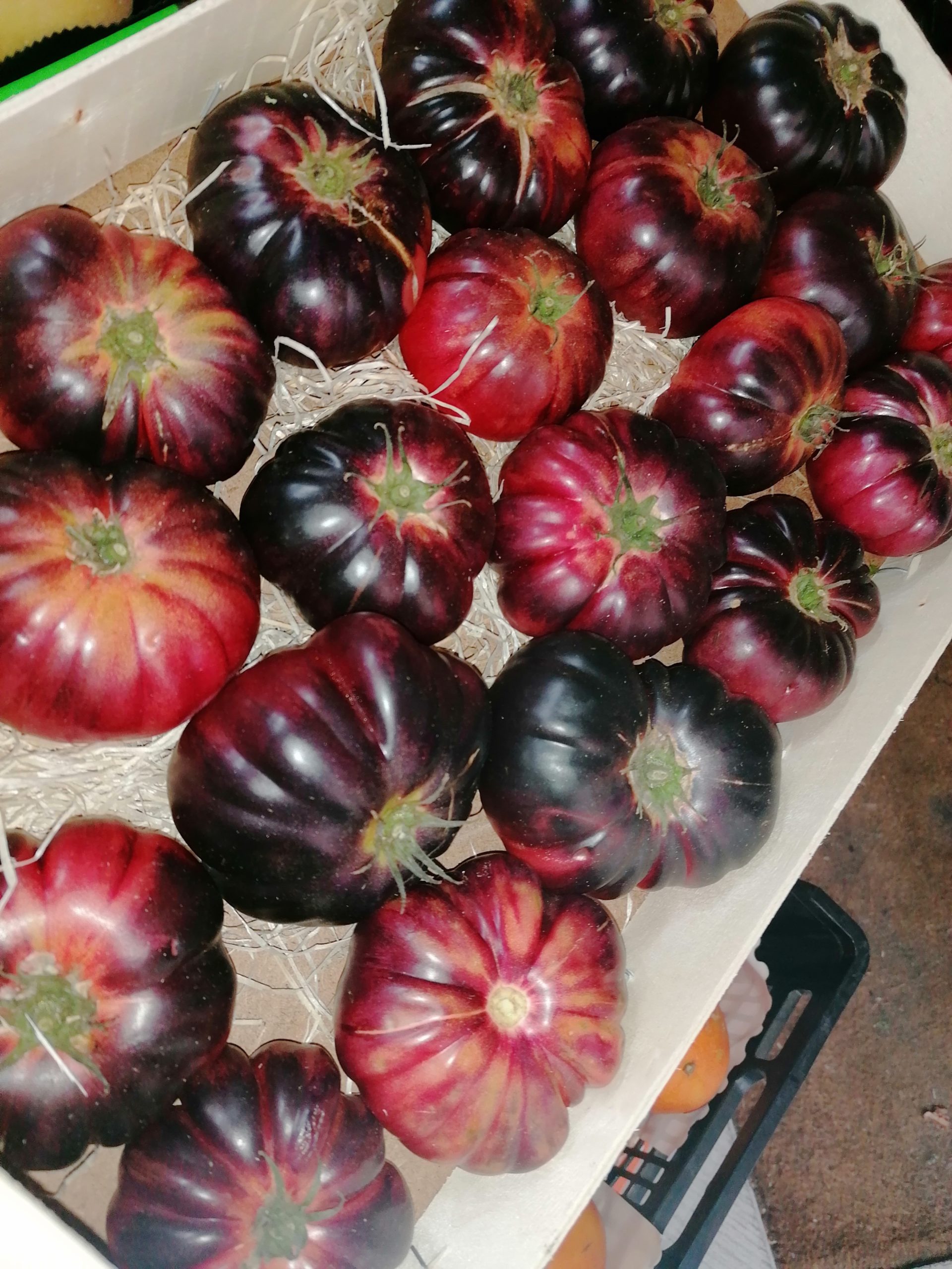 Tomate Azul - Imagen 2