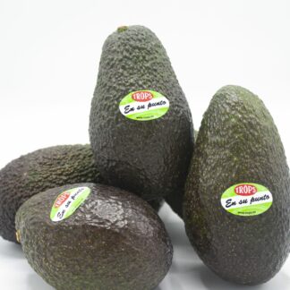 Aguacate Troops "Mediano"  (En su Punto)