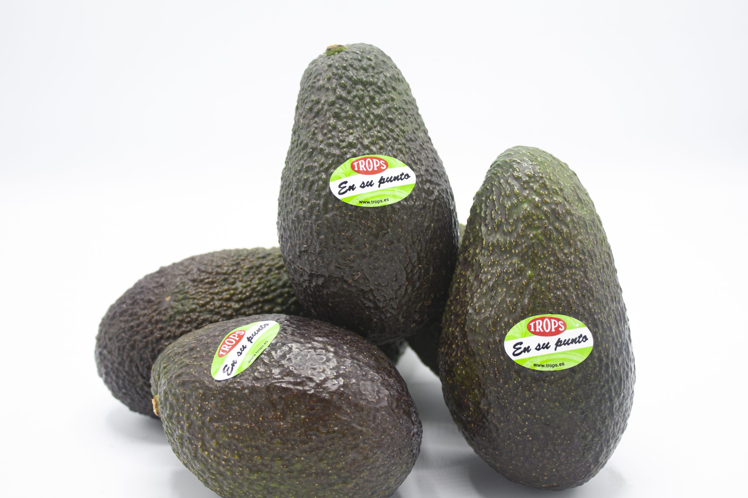 Aguacate Troops "Mediano" (En su Punto)