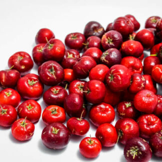Acerolas Rojas (Gordas)