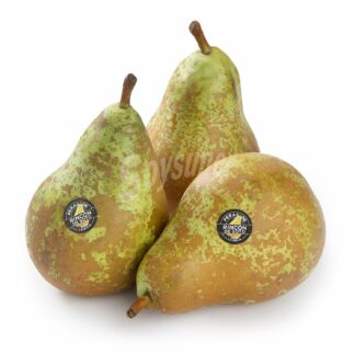 Pera Conferencia Mediana "Rincón del Soto, la Rioja"