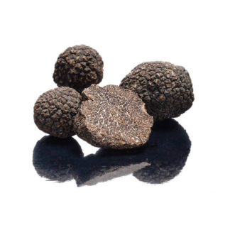 Trufa Negra Fresca (10-15 gr)