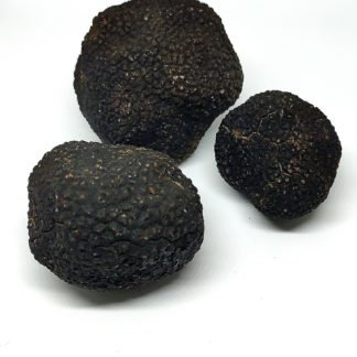 Trufa Negra Fresca (20-30 gr)
