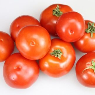Tomate Japo