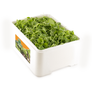 Berros "Caja porex 1 kg"