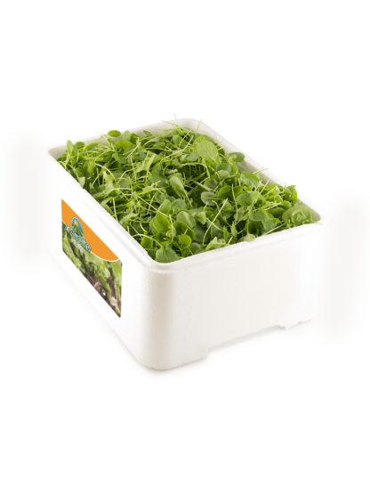 Berros "Caja porex 1 kg"