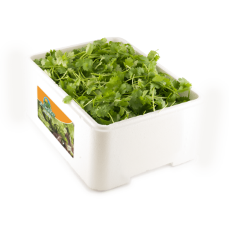 Cilantro "Caja porex 1 kg"