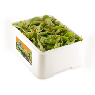 Red Chard "Caja porex 1 kg"