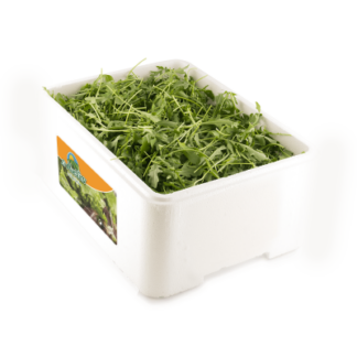 Rúcula "Caja porex 1 kg"