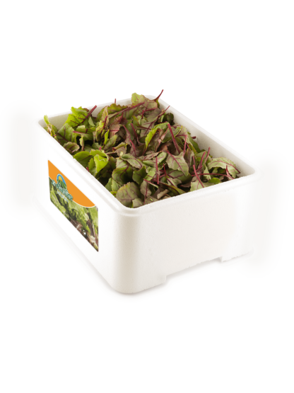 Sangre de Toro "Caja porex 1 kg"