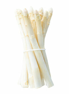 Esparrago Blanco "Grosor Medio"