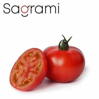 Tomate Sagrami