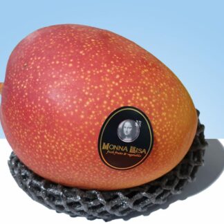 Mango de Avión (Gordo)