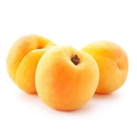 Albaricoque Moniquí "Pepito" (Gordo)