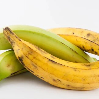 Plátano Macho
