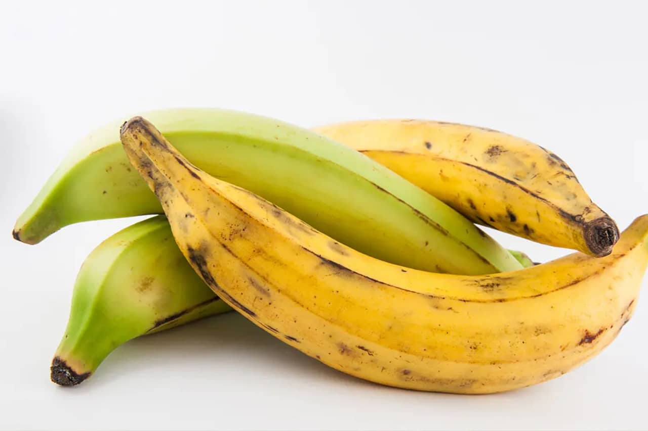 Plátano Macho